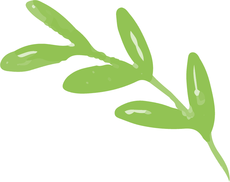 Home leaves free img
